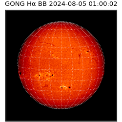 gong - 2024-08-05T01:00:02