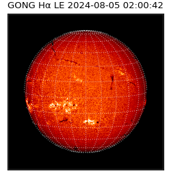 gong - 2024-08-05T02:00:42