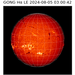 gong - 2024-08-05T03:00:42