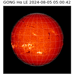 gong - 2024-08-05T05:00:42