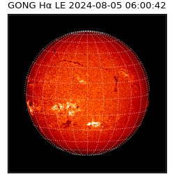 gong - 2024-08-05T06:00:42