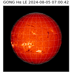 gong - 2024-08-05T07:00:42