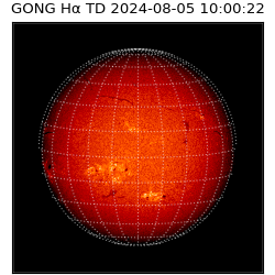 gong - 2024-08-05T10:00:22