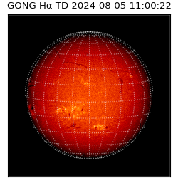 gong - 2024-08-05T11:00:22