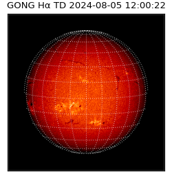 gong - 2024-08-05T12:00:22