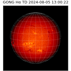 gong - 2024-08-05T13:00:22