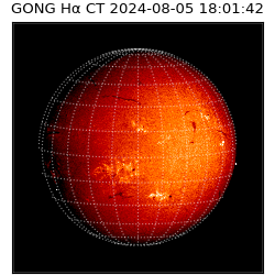 gong - 2024-08-05T18:01:42