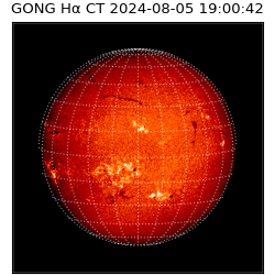 gong - 2024-08-05T19:00:42