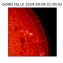 gong - 2024-08-06T01:00:42