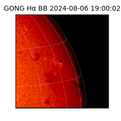 gong - 2024-08-06T19:00:02