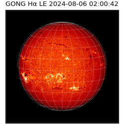 gong - 2024-08-06T02:00:42