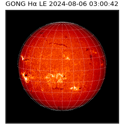 gong - 2024-08-06T03:00:42