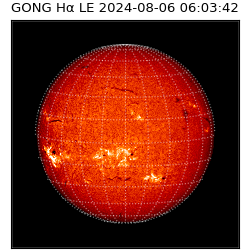 gong - 2024-08-06T06:03:42