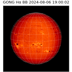 gong - 2024-08-06T19:00:02