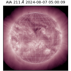 saia - 2024-08-07T05:00:09.623000