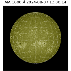 saia - 2024-08-07T13:00:14.132000