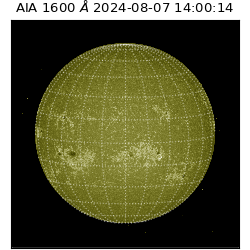 saia - 2024-08-07T14:00:14.133000