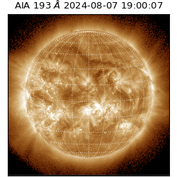 saia - 2024-08-07T19:00:07.420000