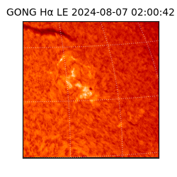 gong - 2024-08-07T02:00:42