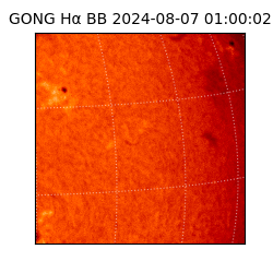 gong - 2024-08-07T01:00:02