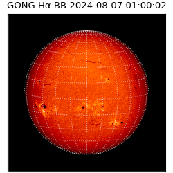 gong - 2024-08-07T01:00:02