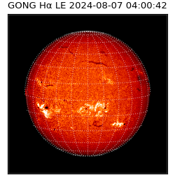 gong - 2024-08-07T04:00:42