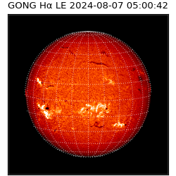 gong - 2024-08-07T05:00:42