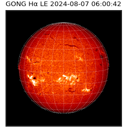 gong - 2024-08-07T06:00:42
