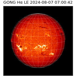 gong - 2024-08-07T07:00:42