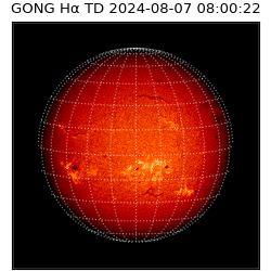 gong - 2024-08-07T08:00:22