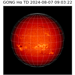 gong - 2024-08-07T09:03:22