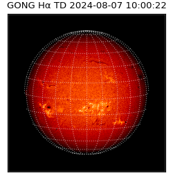 gong - 2024-08-07T10:00:22