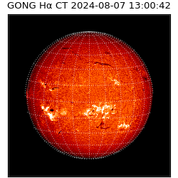 gong - 2024-08-07T13:00:42