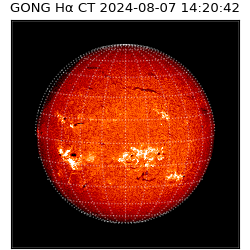 gong - 2024-08-07T14:20:42