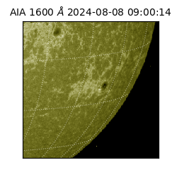 saia - 2024-08-08T09:00:14.126000