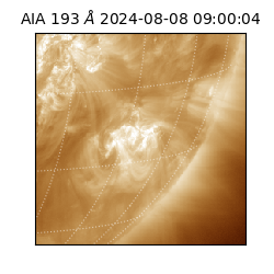 saia - 2024-08-08T09:00:04.843000