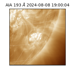 saia - 2024-08-08T19:00:04.843000
