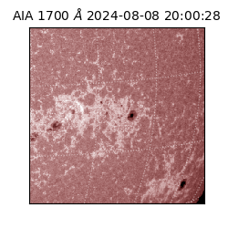 saia - 2024-08-08T20:00:28.711000