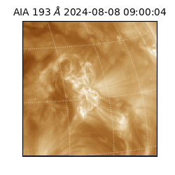 saia - 2024-08-08T09:00:04.843000
