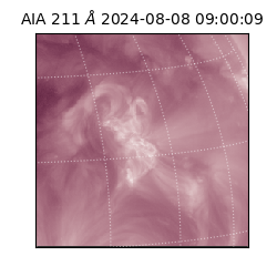 saia - 2024-08-08T09:00:09.631000