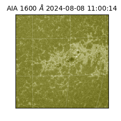 saia - 2024-08-08T11:00:14.132000