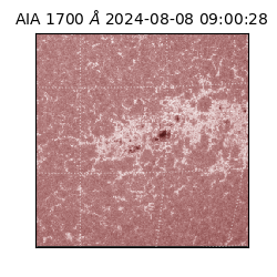 saia - 2024-08-08T09:00:28.718000