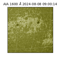 saia - 2024-08-08T09:00:14.126000