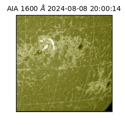 saia - 2024-08-08T20:00:14.133000