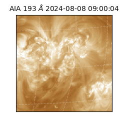 saia - 2024-08-08T09:00:04.843000