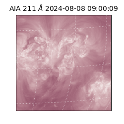 saia - 2024-08-08T09:00:09.631000