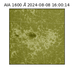 saia - 2024-08-08T16:00:14.126000