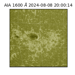 saia - 2024-08-08T20:00:14.133000