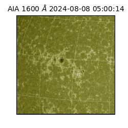 saia - 2024-08-08T05:00:14.125000