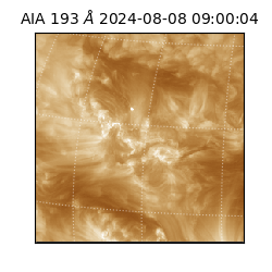 saia - 2024-08-08T09:00:04.843000